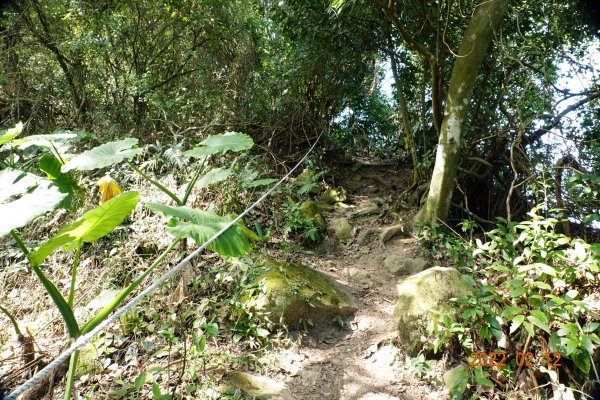 臺中 太平 暗影山1608978