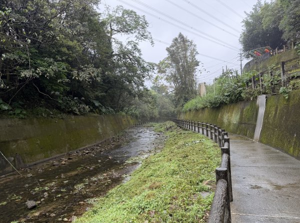 [樟之細路_第一大段RSA01] 2026_0329 清水坑溪景觀3026598