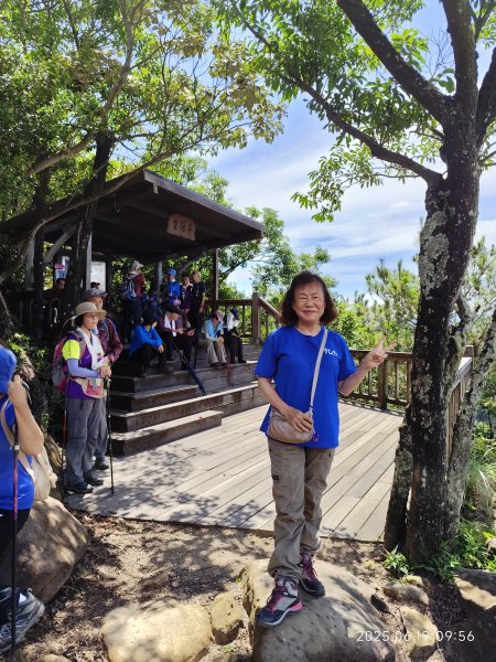 內湖金面山環狀步道2815676