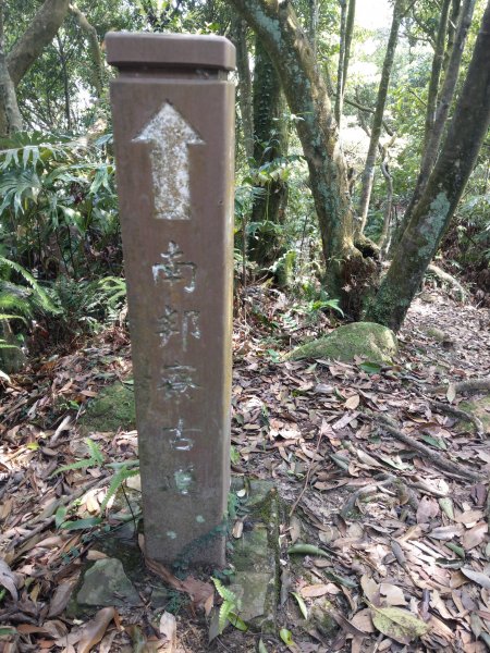 猴山岳步道→二格山(小百岳#17)→草湳大榕樹→岐山古道大Ｏ路線 (2021/4/2)1406861