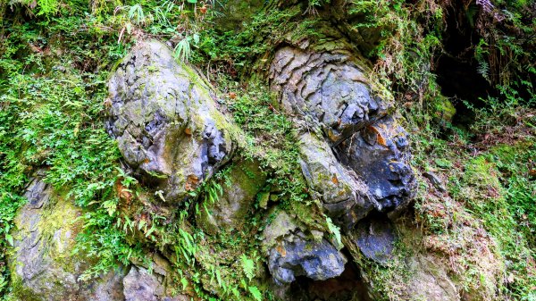 油羅山(一上三下)2959198