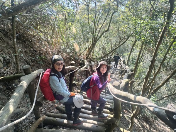 1110116 大坑四，五，三之一號步道O型一圈1584036