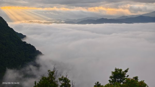 #翡翠水庫壩頂 #日出 #雲海 #斜射光 8/303113256