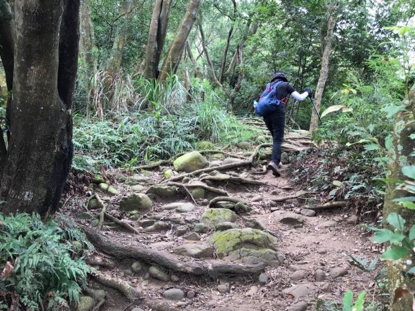 飛鳳山觀日坪連走中坑山388270