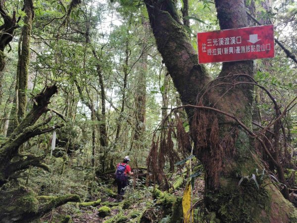 唐穗山11408162860909