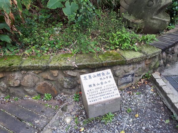 忠勇山鯉魚山親山步道2017.03.22141395