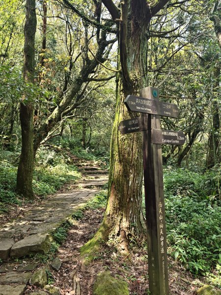 2026-0323 台北大縱走第一段3022630