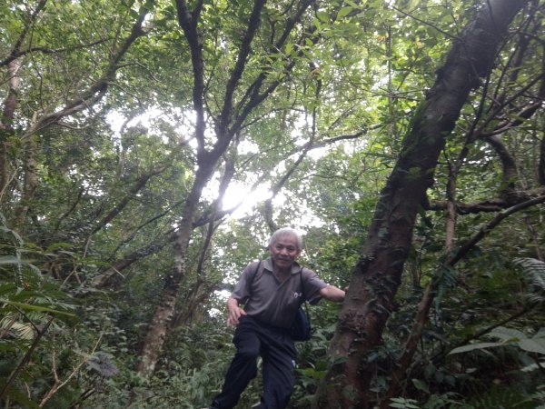 指南宮步道1453936