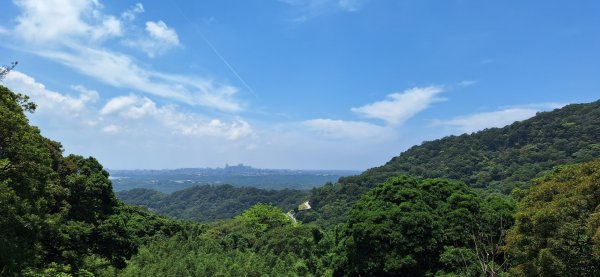 【2024觀音觀鷹尋寶任務】一日走完七條步道完成!2508394