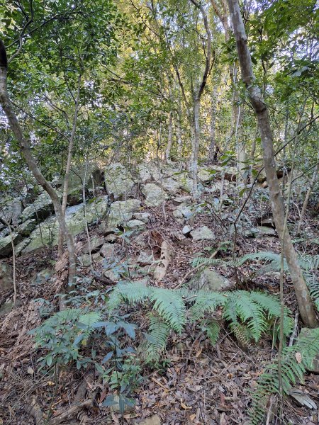 谷關蝴蝶谷瀑布202511202940790