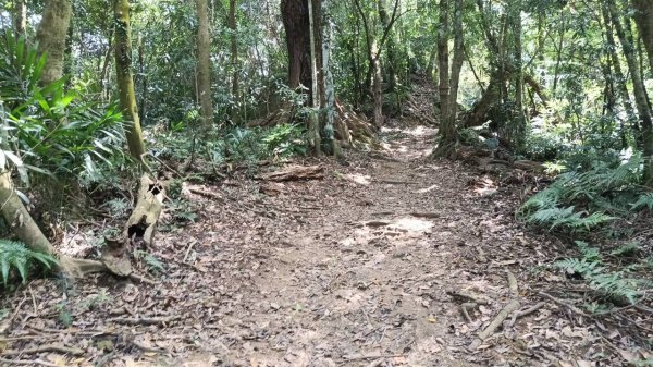 20251004 馬那邦山 - 珠湖 登山口2904933