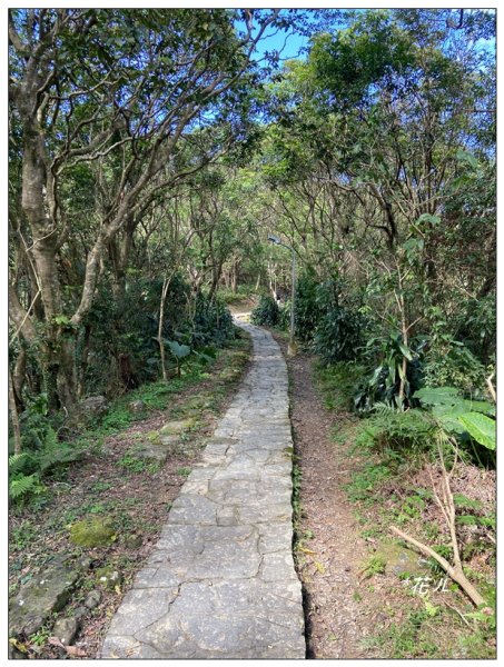 炮子林山、樟山、恆光橋崙 (政大三小山)2715724