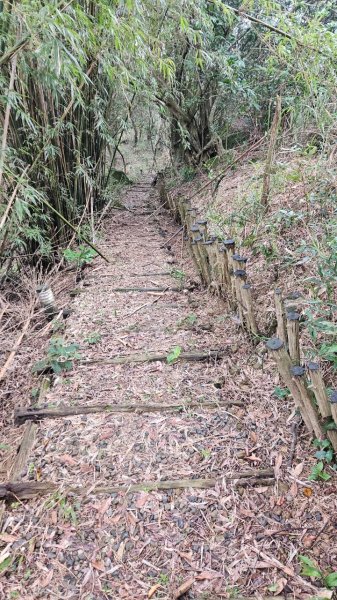 20250216貢寮山-水返港山-外文秀坑山-丹裡山2713218