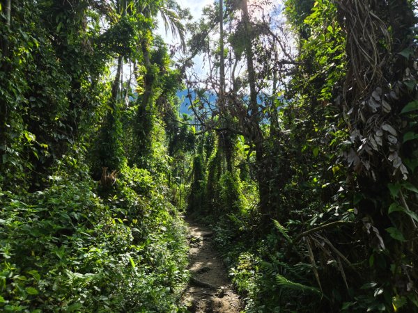 獨立山、觀音石山、阿拔泉山O繞3059967