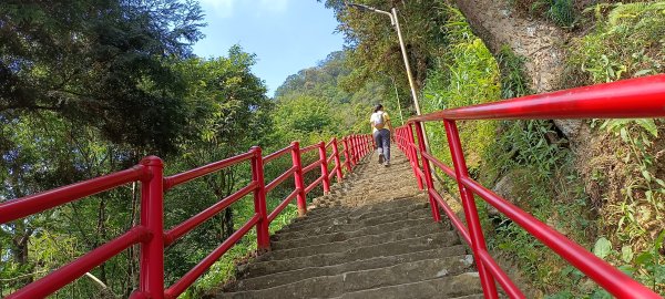 2024/05/10-仙山登山步道2502659