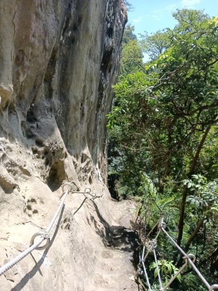 平溪區東勢格越嶺古道+孝子山步道(慈恩嶺+慈母峰)探花(艷紅鹿子百合)路線O型2848663
