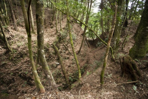 2023.03.11 馬崙山小O、新山遺址(馬崙山步道支線去、斯可巴步道返)2072696