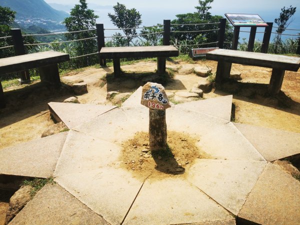 烈日當頭的南子吝2810050