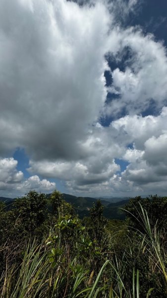 石龜山、叢雲山O走2592617