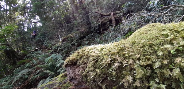 白姑大山之旅743399