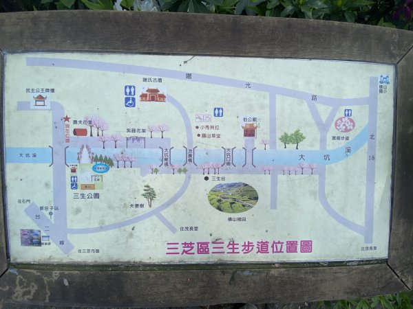 🚗從淡金公路出發｜三生步道櫻花與田園風光・春日療癒散步3018728