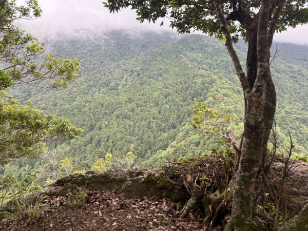 20250607 春谷養鱒場所上加里山 出大坪2805207