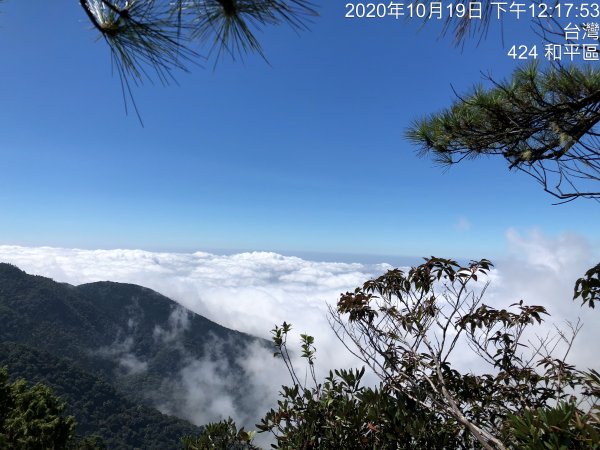 鳶嘴稍來國家步道季秋縱走1144496