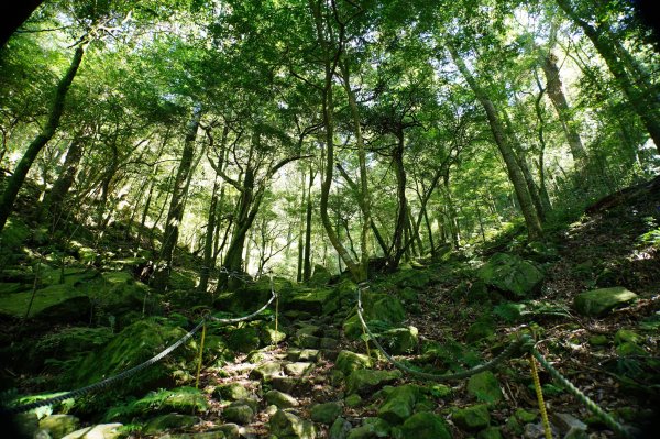 台中 和平 鳶嘴山2926902