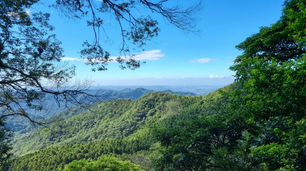 馬武督探索森林＆外鳥嘴山1868316