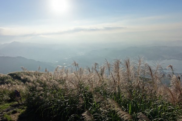 秋陽、金芒、基隆山464506