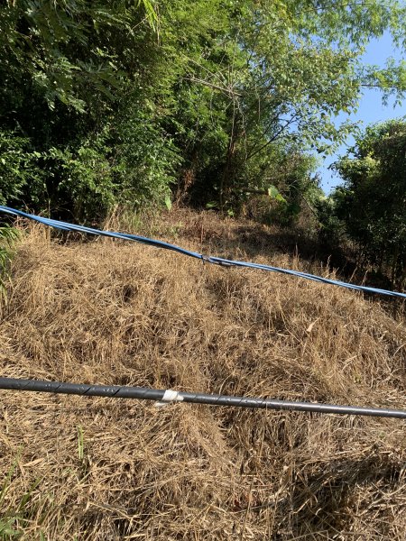 20251122高雄河埧寮2945287