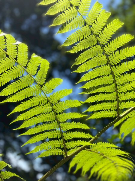 每一步都剛好—與寶寶走過銀河洞的光與影2907121