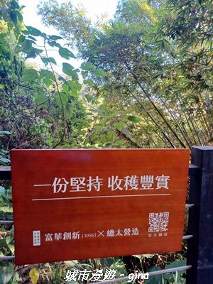 【台中北屯】大坑9-1x9號步道小O繞2945945