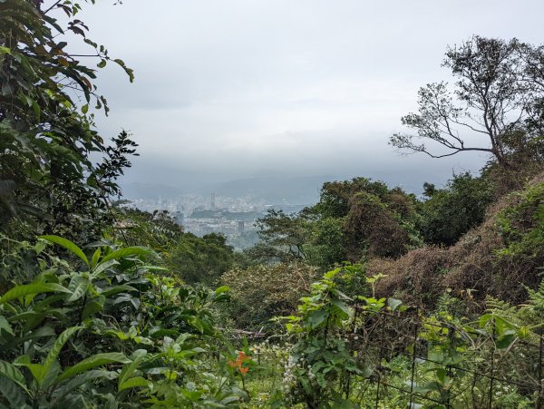 圓山水神社登劍潭山(小百岳#9)1630881