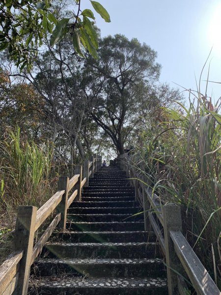 台中潭子區大胡山與聚興山隨意走（小百岳）2116655