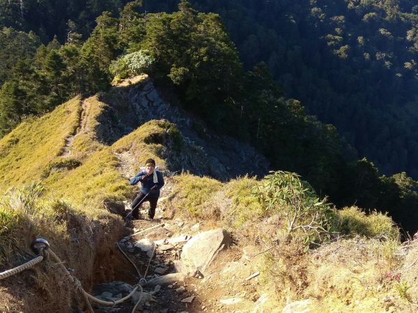 合歡北峰&西峰229689