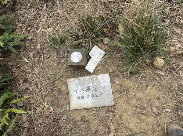 [微笑山線_第四段] 2026_0321 天上山系_十八羅漢岩3022134