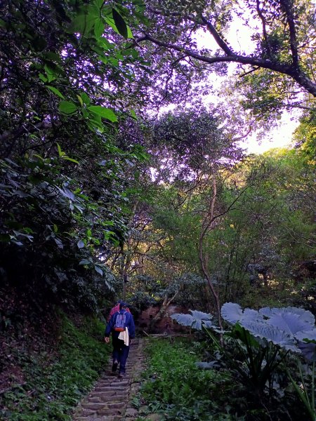 桃園大溪石門水庫楓林步道、齋明寺古道【南山神壽任務】1963924