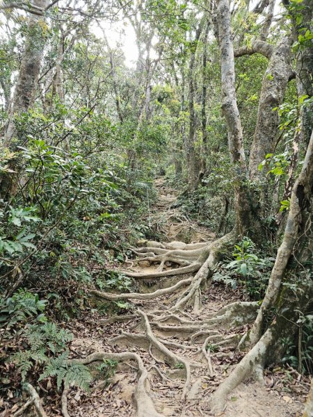 里龍山-小百岳#69-屏東縣獅子鄉2750527