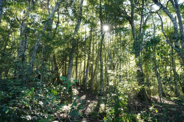 新竹 五峰 清泉山、民都有山2633694