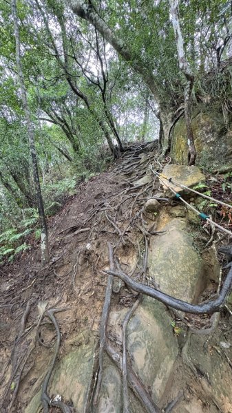 迎新（2026元旦2975566