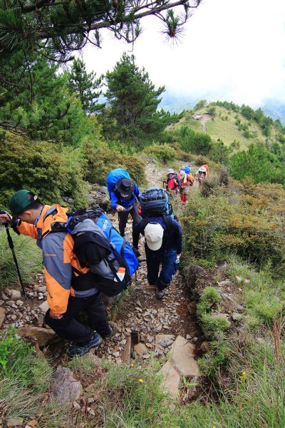 雪山主東峰523698