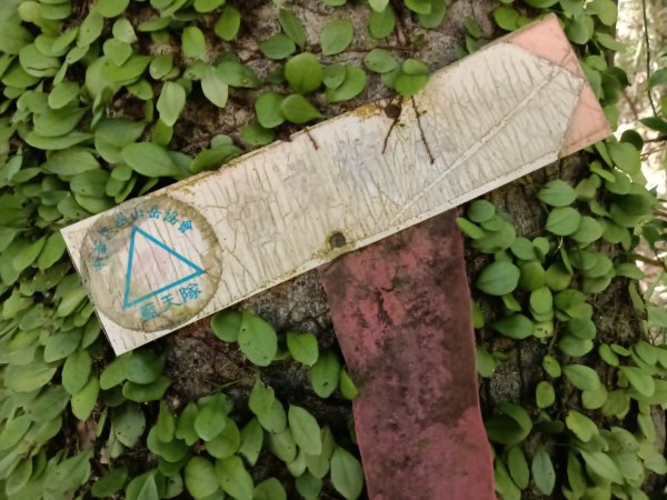 基隆市金交椅山+金交椅南峰+紅淡山東北峰、北北峰、北峰+紅淡山+厲翼嶺出三坑車站2903184