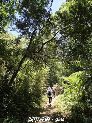 【桃園大溪】溪洲山步道(福山巖登山步道)3057152