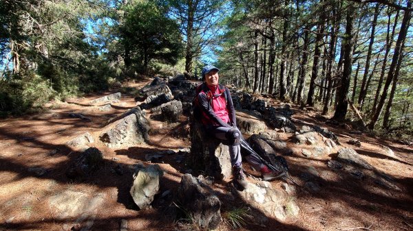 五星級松針步道的平多縱走2837838