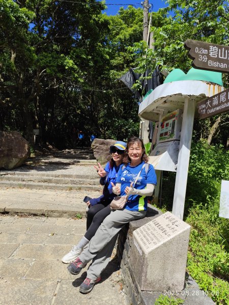 翠山步道、大崙頭尾山親山步道【臺北健走趣】2874319