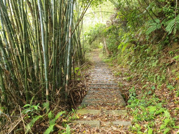 人生之中有點可怕的登山行程......玉女山、金童山及汶水山1552804