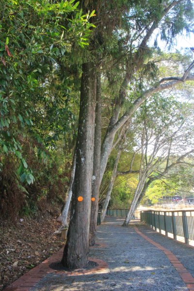 日月潭步道之朝霧碼頭續接至文武廟202104301378724