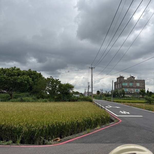 霄裡好風光運動樂悠遊2829060