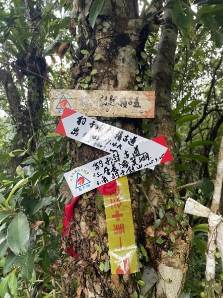 南北豹子廚山2925443